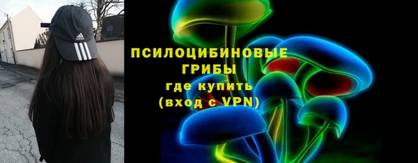 гашик Балахна