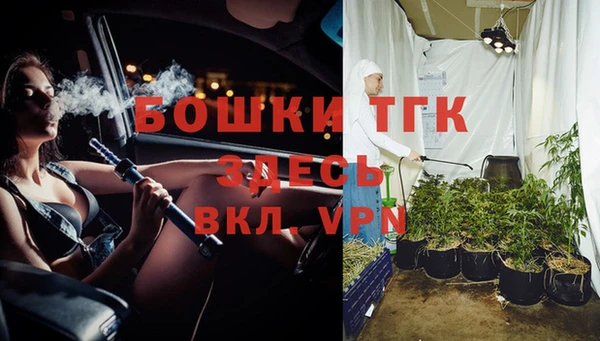гашик Балахна